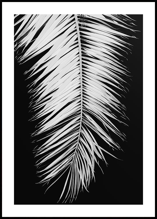 Palmleaf No.4 Poster