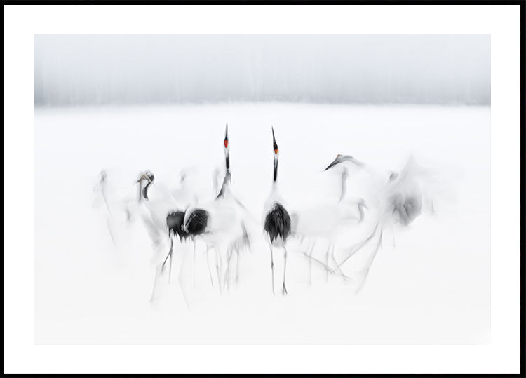 Calligraphic ballet Poster