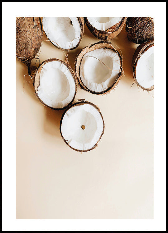 Coconut Poster