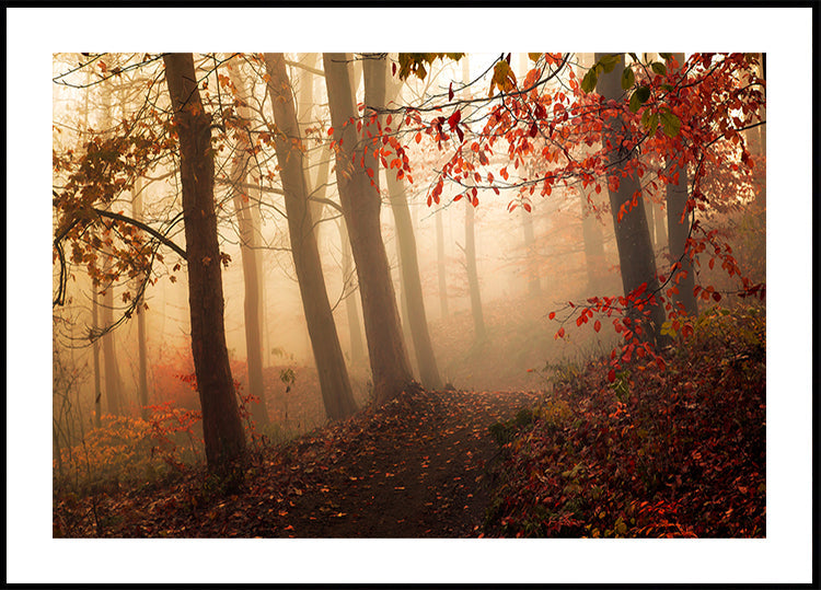 Towards the light.