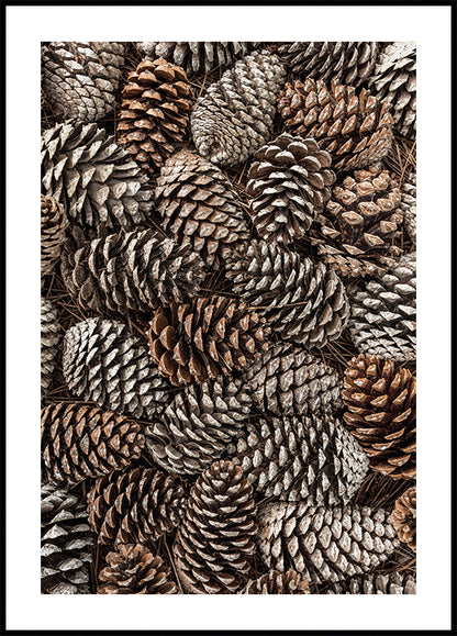 Pine Cones Texture Poster