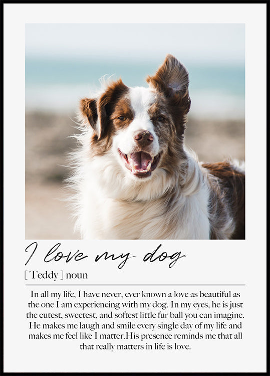 Custom Pet Portrait Poster