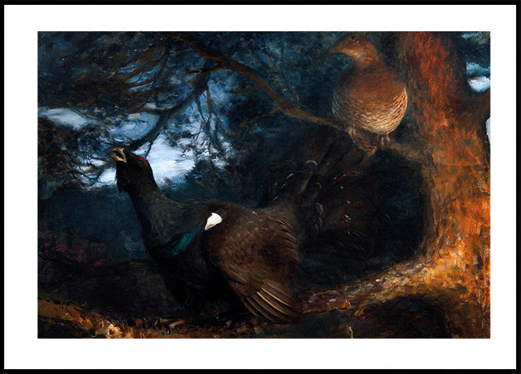 The Mating of the Capercaillies By Bruno Liljefors Poster