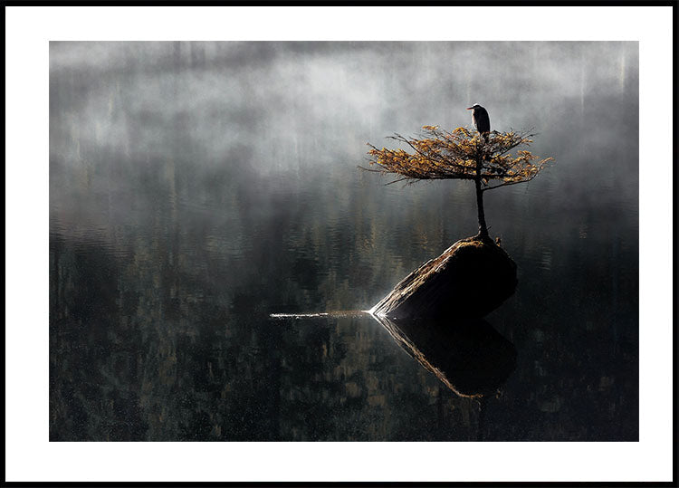 Heron Sitting On The Bonsai Tree Poster
