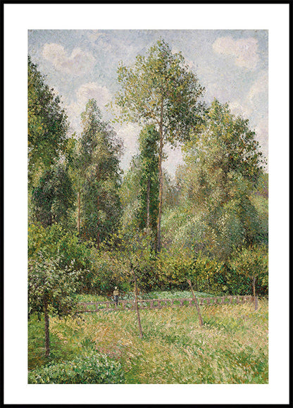 Poplars Éragny By Camille Pissarro Poster