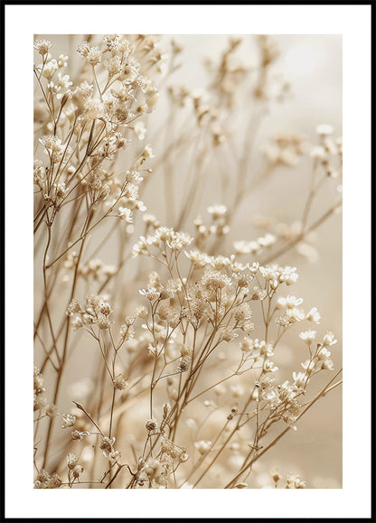 Gentle Elegance of Dried Baby’s Breath in Soft Light Poster