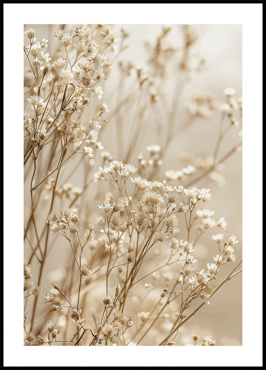 Gentle Elegance of Dried Baby’s Breath in Soft Light Poster