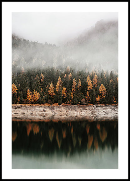 Autumn Reflections in Misty Forest Poster