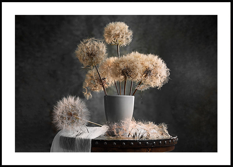 Dandelion Seed Pod