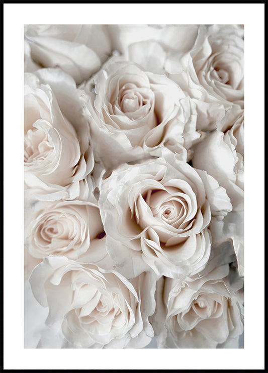 Elegant White Rose Bouquet Poster