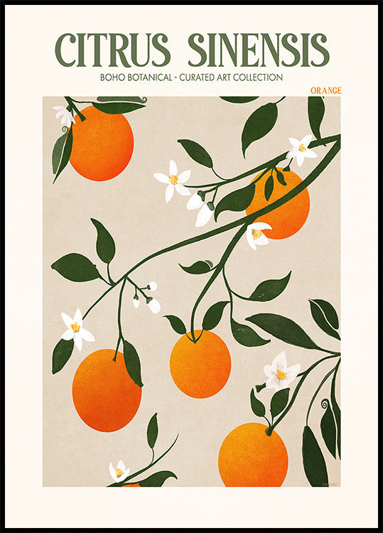 Orange Elegance