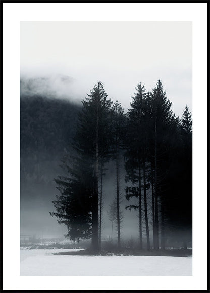 Pine Tree In a Foggy Field Poster