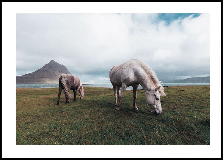 Horses by A Lake Poster
