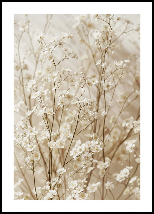 Gentle Bloom: Dried White Baby’s Breath Poster