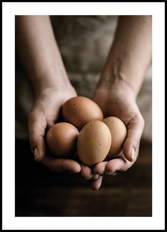 Organic Farm Eggs Poster