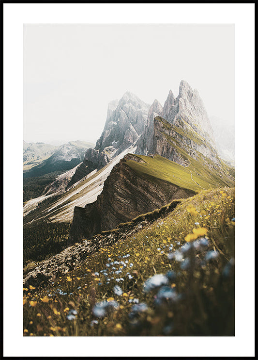 Flowers On The Mountain Poster