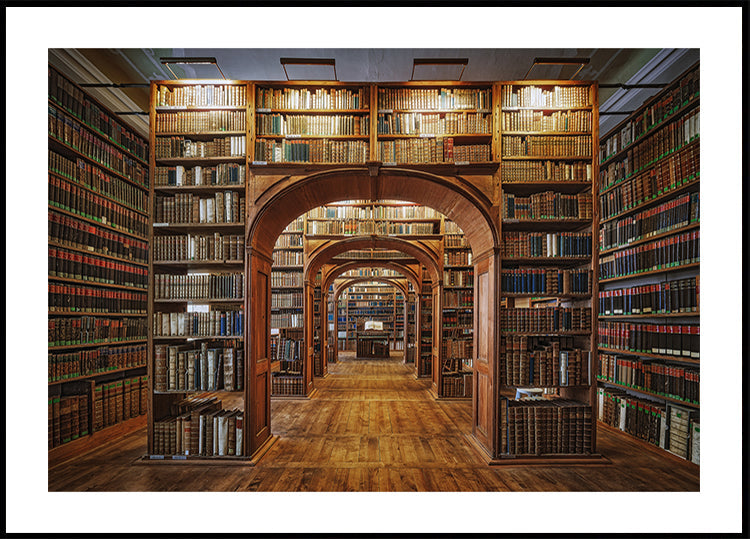 Upper Lausitzian Library of Sciences Poster – Posterbox.se