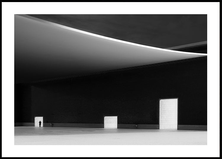 White doors Poster