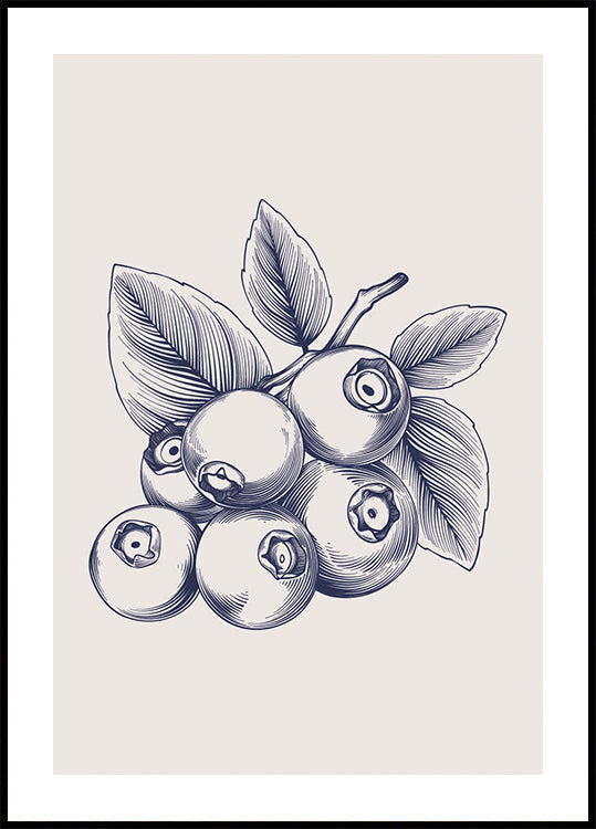 Blueberry Botanical Poster