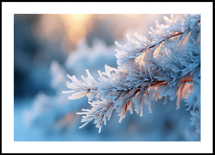 Frosted Serenity Poster