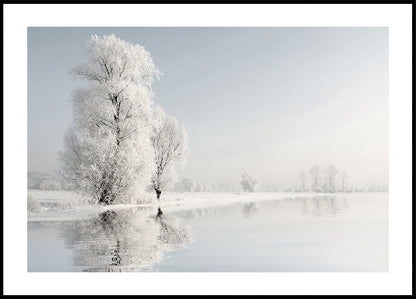 Frosty Winter Tree №2 Poster