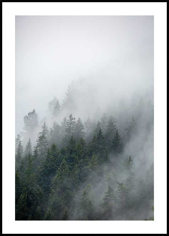 Foggy Morning 2 Poster