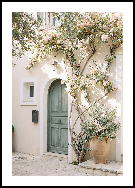 Mediterranean Door Poster