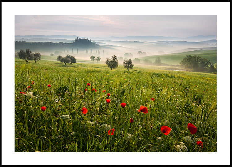 Tuscan spring Poster