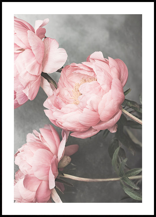 01643 Poster
