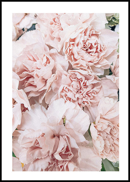 Pink Peony Poster