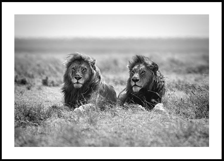 Two kings Poster
