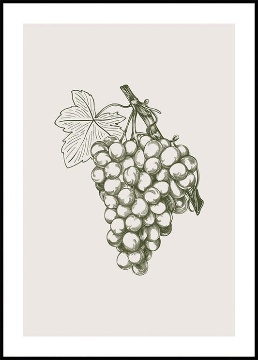 Grape Botanical Poster