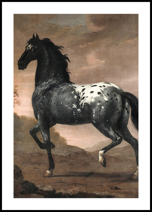 Karl XI's Royal Horse "Blue Tiger" Poster