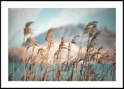 Reeds By The Lake Poster