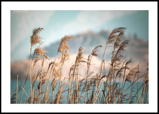 Reeds By The Lake Poster