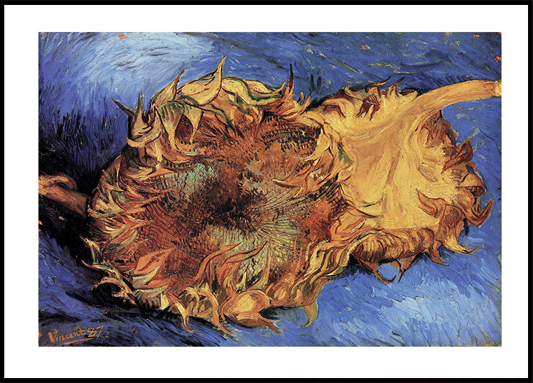 Sunflowers By Vincent van Gogh Poster