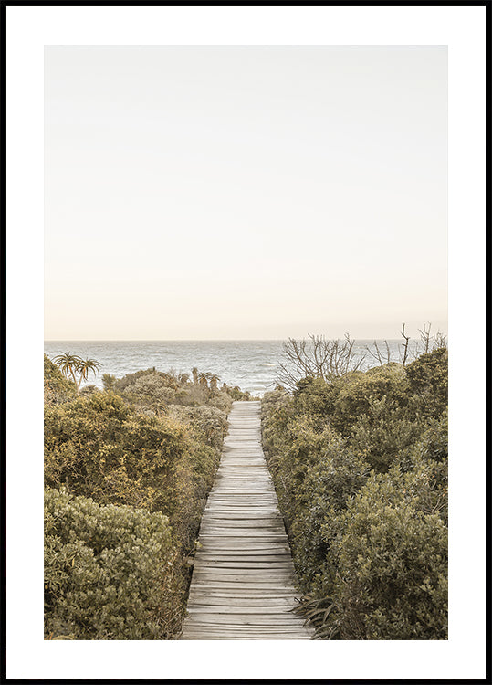 Pathway to Tranquility Poster