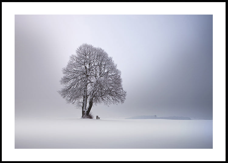 Winter light Poster