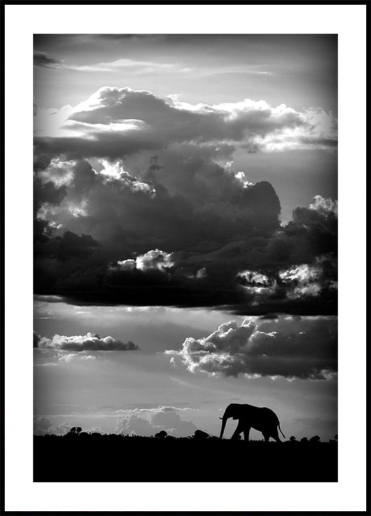 He walks under an African Sky