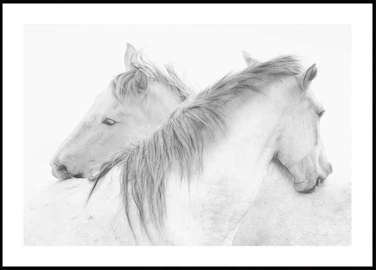 Horses