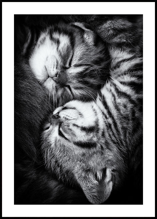 Yin and Yang