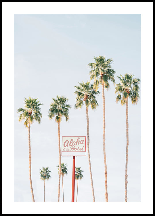 Aloha Hotel