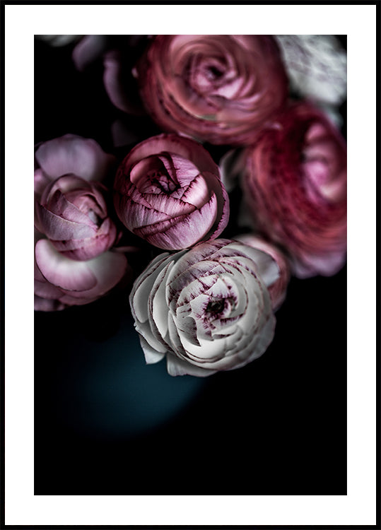 Dark Flowers 2