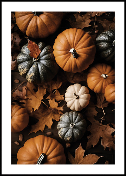 Autumn Pumpkins and Leaves Poster