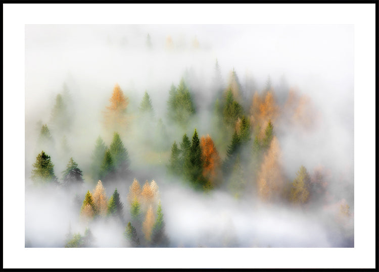 Autumn Dream Poster