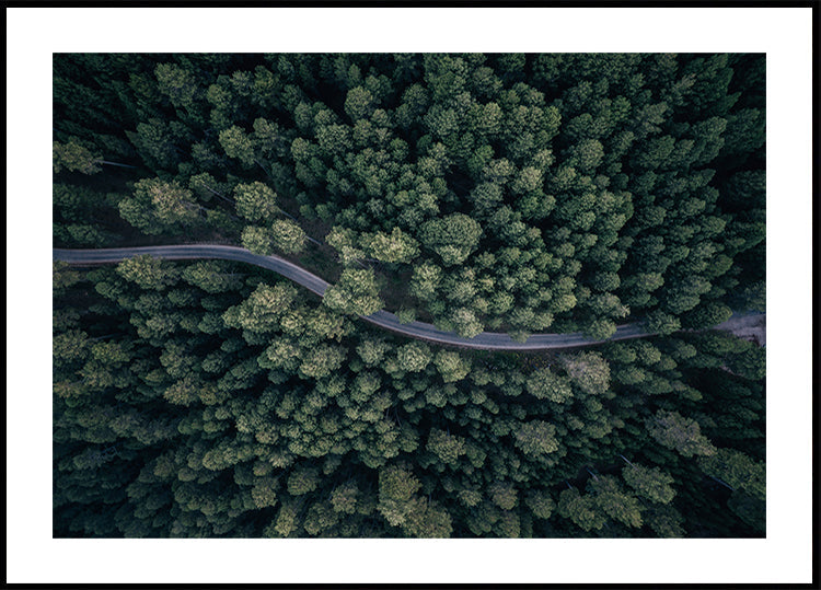 From above Poster