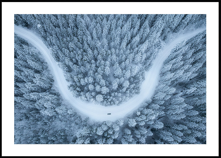 Snowy drive Poster
