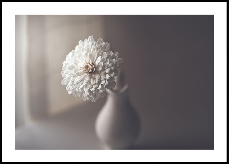 window light