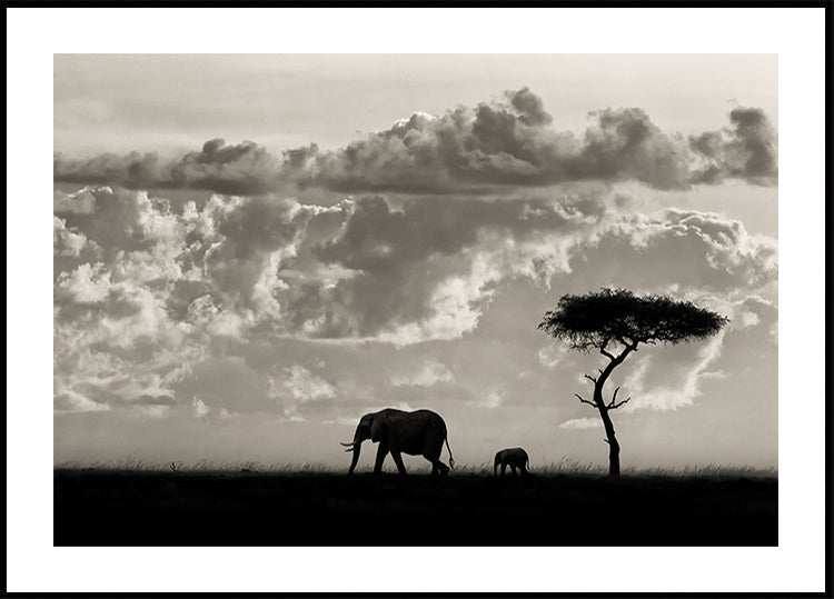 Silhouettes of Mara