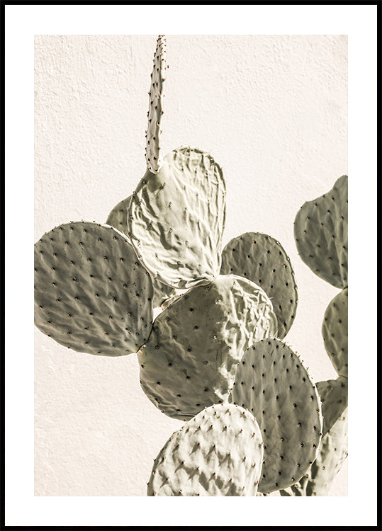 Prickly Elegance